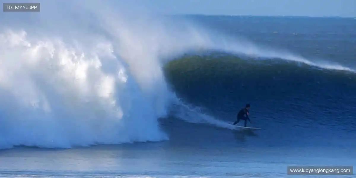 全球赛事,尽在你的指尖掌控🌐✌️